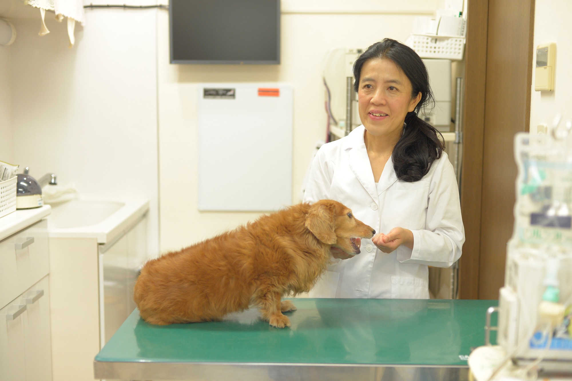 動物_1