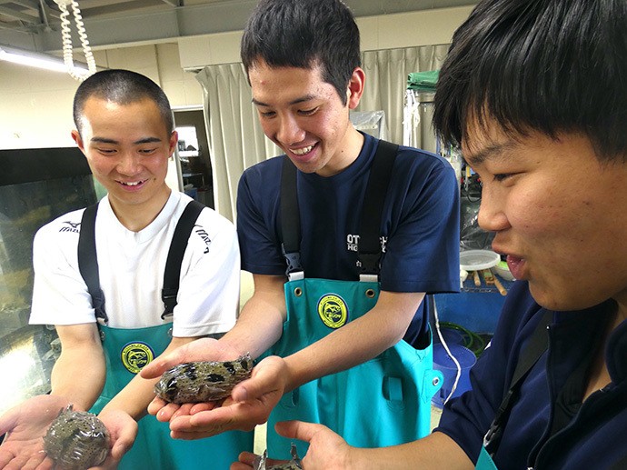 海で釣ったハリセンボンを見せる生徒(大槌高校提供)