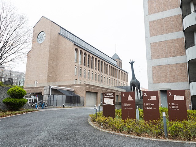 Main Image