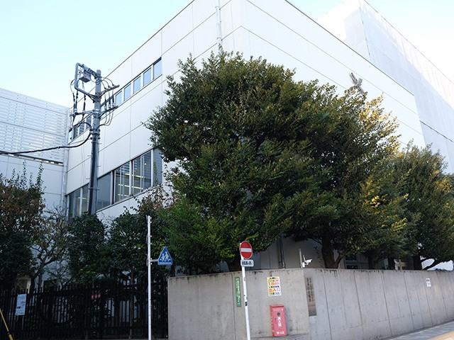 Main Image