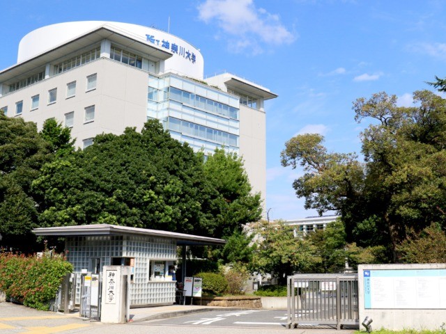 Main Image
