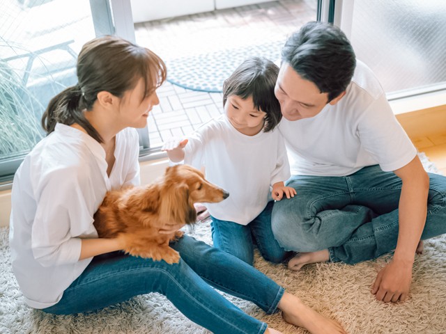 ペットと子どもの関わり方 老いや死と向き合うことにも 獣医師に聞く 学習と健康 成長 朝日新聞edua